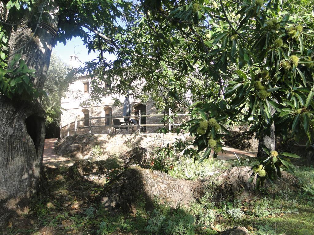 Finca La Colora フエンテエリドス エクステリア 写真